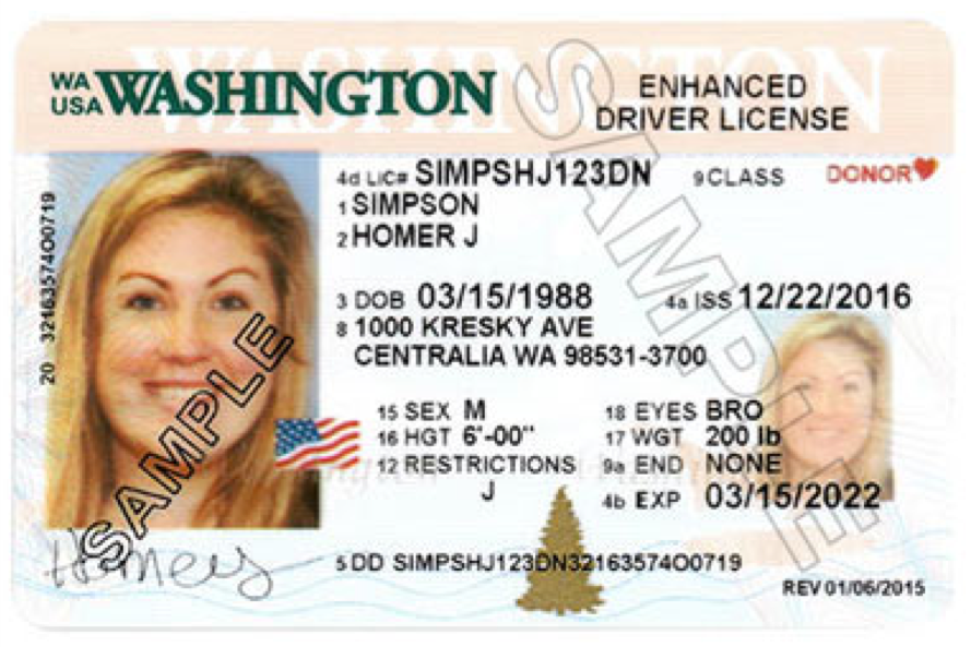 check drivers license status in washington state